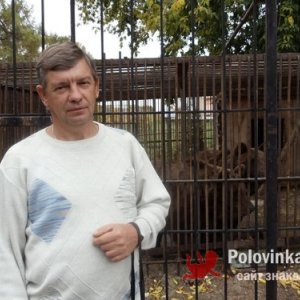 Андрей , 65 лет